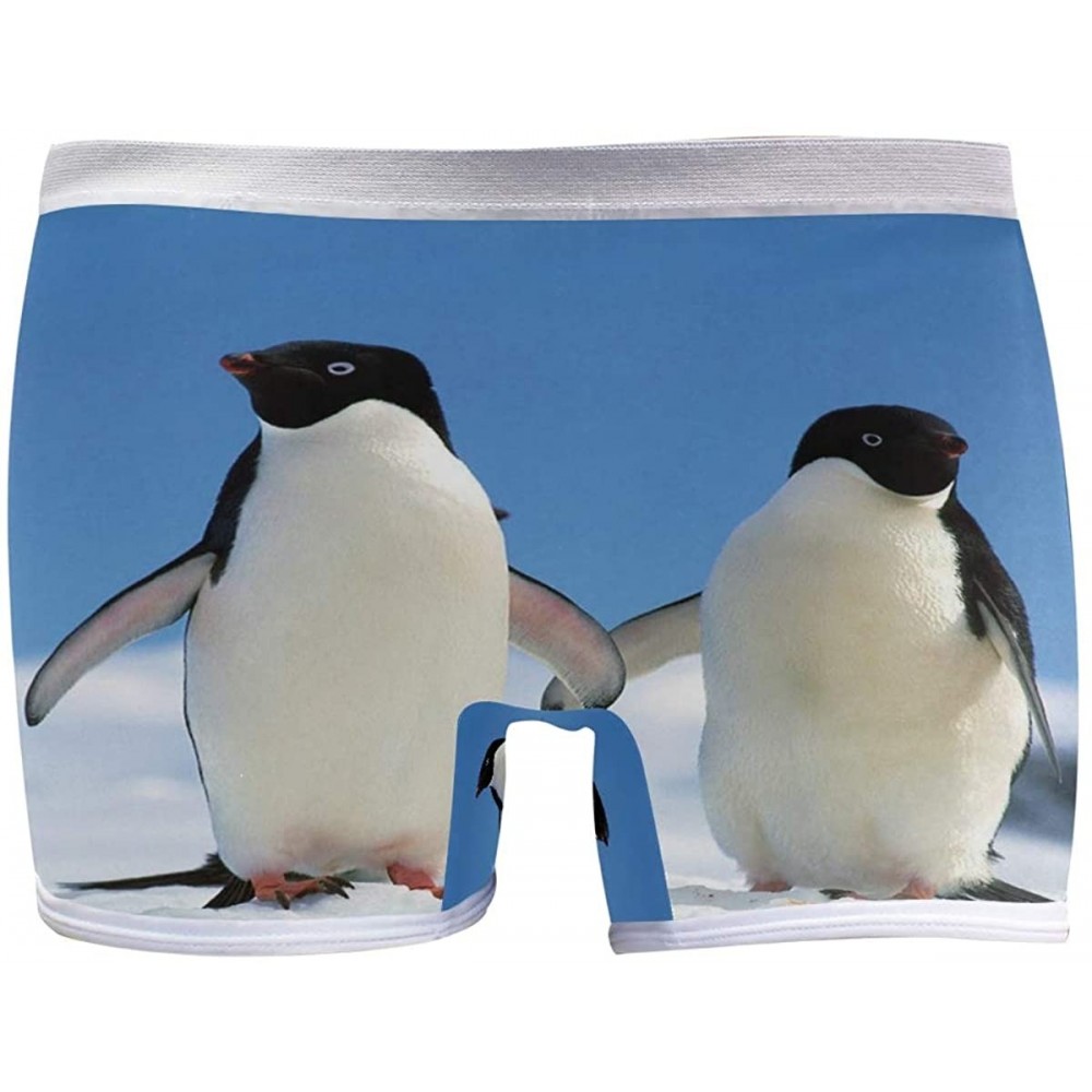 Panties Boyshort Panties Women's Happy Sea Turtle Soft Underwear Briefs - Two Penguin Love Theme - C318SYSXRNC