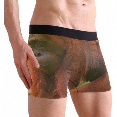 Boxer Briefs Orangutan and Baby Waving Monkey Men's Sexy Boxer Briefs Stretch Bulge Pouch Underpants Underwear - Orangutan an...