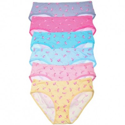 Panties Women's Printed Cotton Spandex Bikini Panties (6-Pack) - 6-pack Flamingo - CM18OEQOU0W