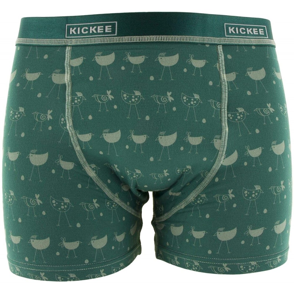 Boxer Briefs Men's Print Boxer Brief - Ivy Chickens - C9199KYXU5Z